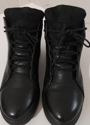 Ecco зимние сапоги кожа р.41