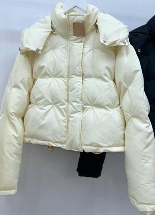 Продам курточку»loewe”