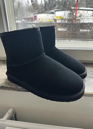 UGG Tazz Slipper Chestnut W