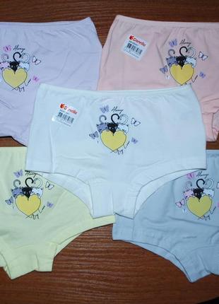 Набор 5 шт шортики полушортики 10-11 рост 146-152 донелла donella котики сердечко