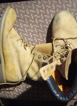 Черевики timberland 44 високі