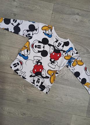 Регланы для мальчика