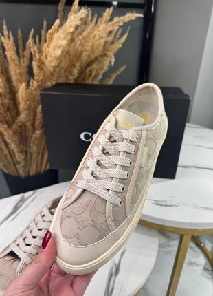 Кеди coach