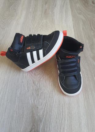 Хайтопи черевики кросівки високі adidas 24 розмір