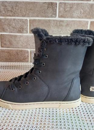 Зимовi шкiрянi кеди черевики ugg starlyn 100 оригiнал цигейка