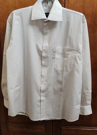 Сорочка чоловіча e"nrico,святкова.