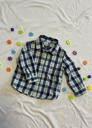 Рубашка zara 9-12 месяцев