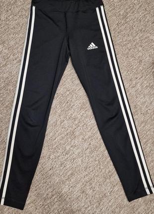 Легінси лосини adidas 152р