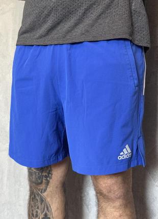 Чоловічі шорти adidas