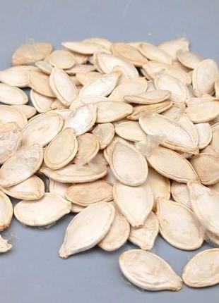 Семена тыквы. сорт "украинский многоплодный" цена 110грн за 1 кг.