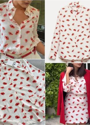 Рубашка zara collection с принтом "губки".