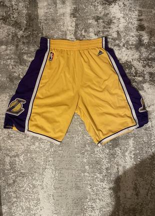 Шорти adidas lakers