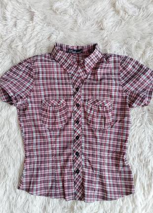 Блуза, блузка deloras р. 42 - 44.