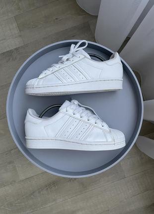 Кроссовки унисекс adidas superstar