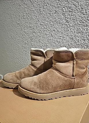 Напівчобітки ugg розмір 36