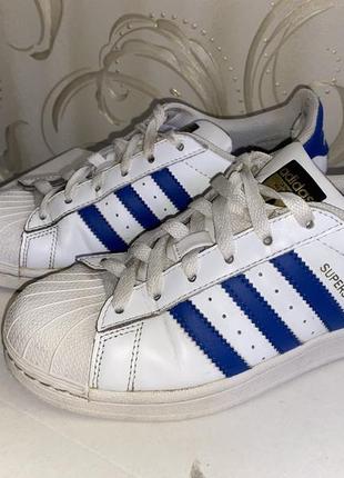 Суперстари release adidas