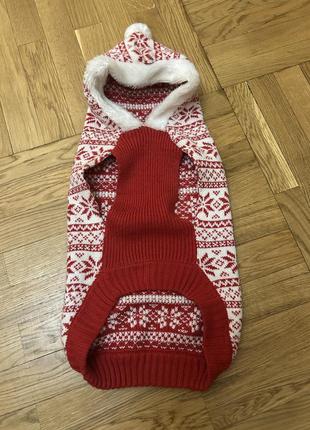 Одяг для собак оригінальний