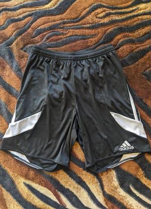 Спортивні шорти adidas climalite