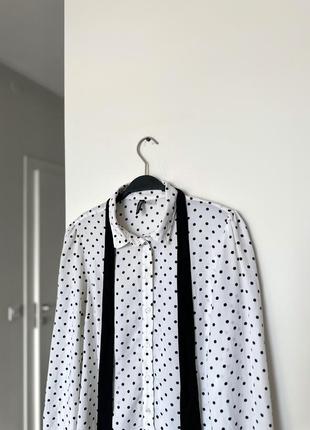 Рубашка блуза h&m, очень классная с трендовой завязкой на шее горошек4 фото