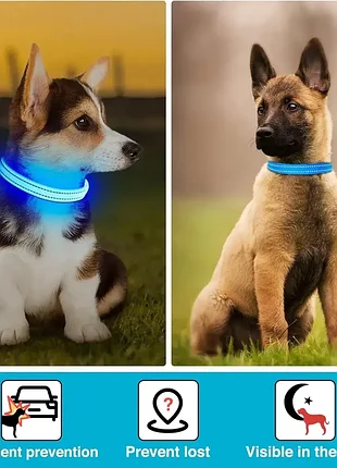 Cветящийся ошейник для собак, светодиодный ошейник для собак, перезаряжаемый через usb, водонепрониц