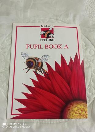 Книга з англійськими прописами 19*24,5см