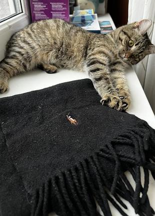 Шарф Camisa Polo Reta Lisa Azul-Marinho