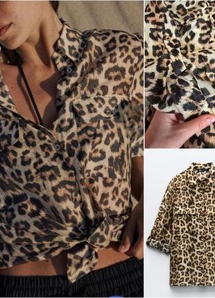 Леопардова сорочка zara зара.