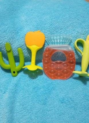 Лот гризунець прорізувач