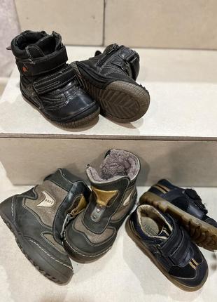 Чобітки зимові