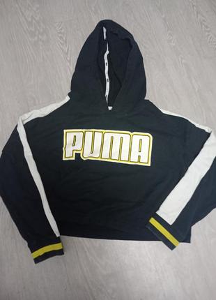Худі puma.