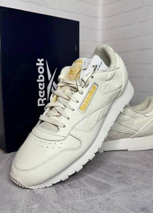 Мужские кроссовки reebok