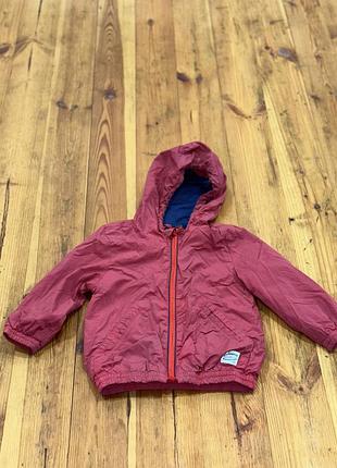 Ветровка 12-18м 4