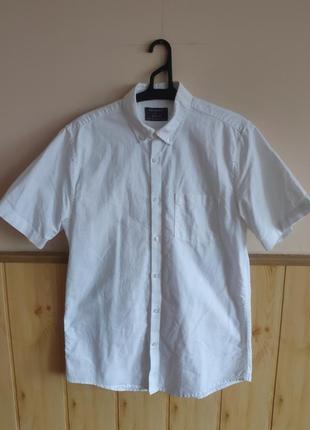 Тренд бавовняна/коттонова чоловіча шведка, бавовна, котон, унісекс