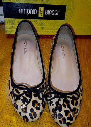 Балетки antonio biaggi