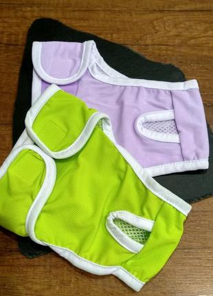 Труси для собак гігієнічні для тічки