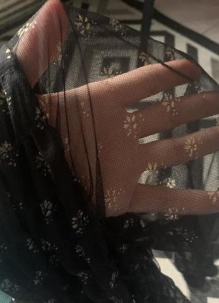 Zara 3