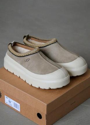 Женские мужские угги тасман ugg tasman hybrid slippers