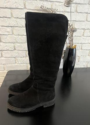 Сапоги замшевые