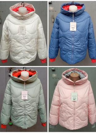 Женская демисезонная куртка s, m, l, xl - 276