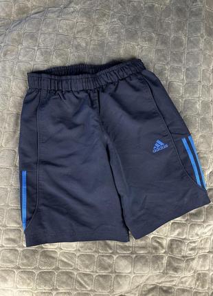 Чоловічі шорти adidas