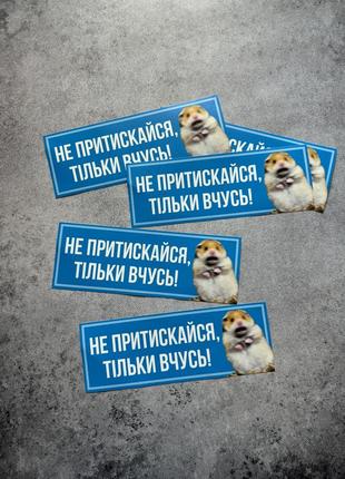 Вінілова наліпка на авто «не притискайся, тільки вчусь!» 9х25 см