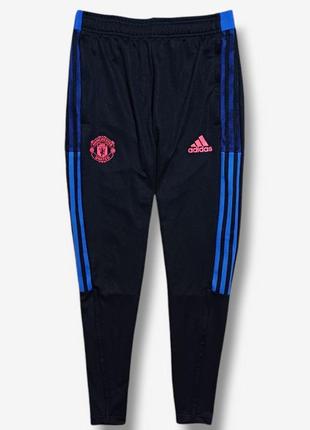 Спортивні штани adidas manchester united