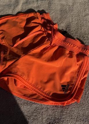 Спортивные шорты adidas