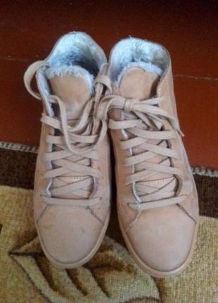 Черевички zara 37 розм