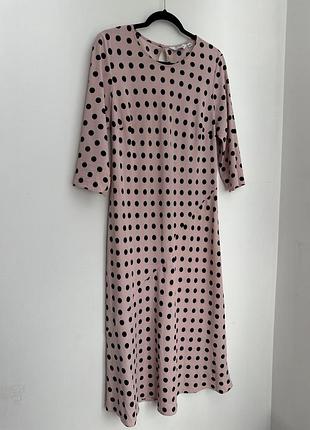 Сукня в горошок dorothy perkins