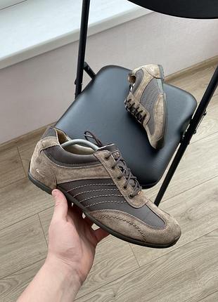 Кросівки camel active