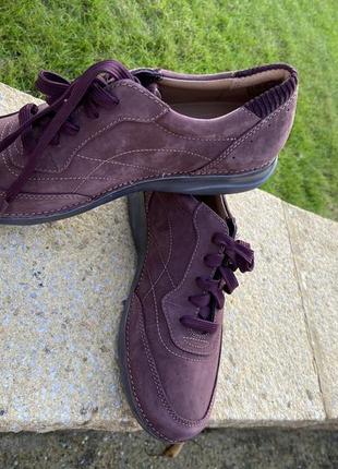 Жіночі брендові замшеві кросівки clarks .