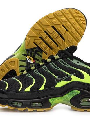 Кросівкиair max tn