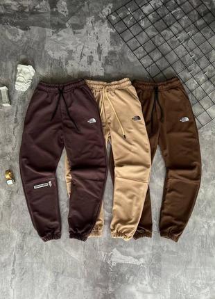 Спортивные штаны tnf