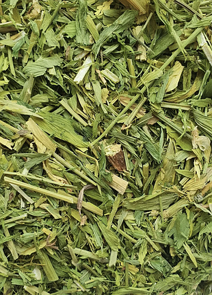100 г галега (козлятник, козяча рута) трава сушена (свіжий урожай)